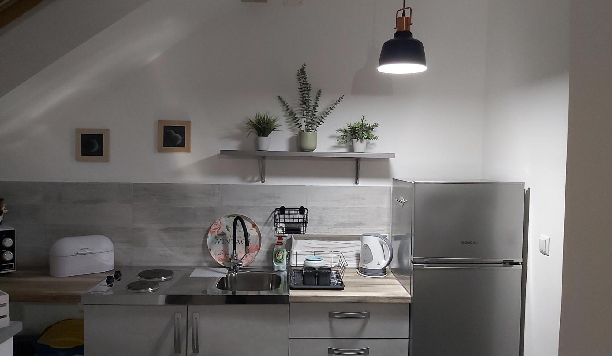 Studio Apartman Grizzly Слунь Екстер'єр фото